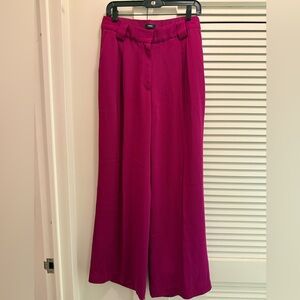 Express Stylist Wide Leg Pants